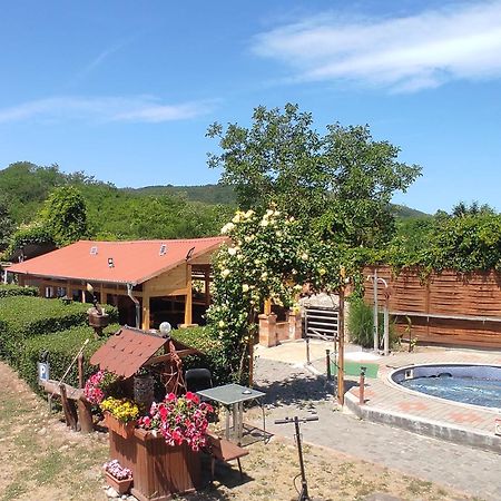 Guesthouse Ilona Velky Kamenec Exterior foto